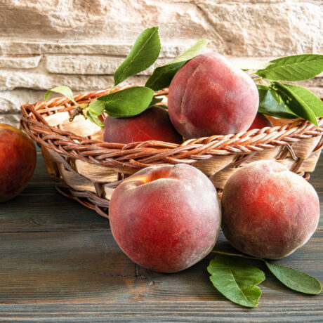 Brzoskwinia Redhaven