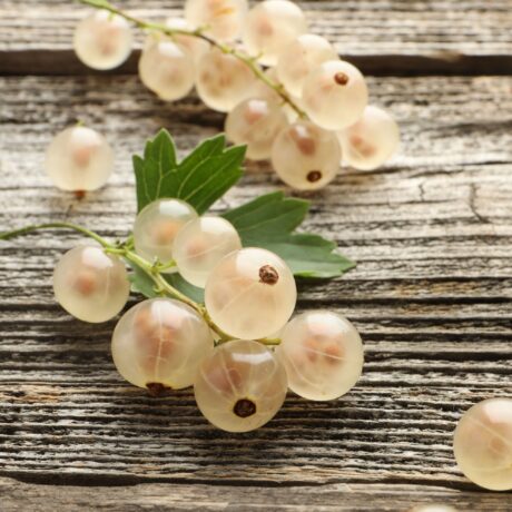 Fresh white currant berries and green leaf on wooden table, closeup