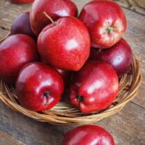 Jabłoń kolumnowa Red Hat