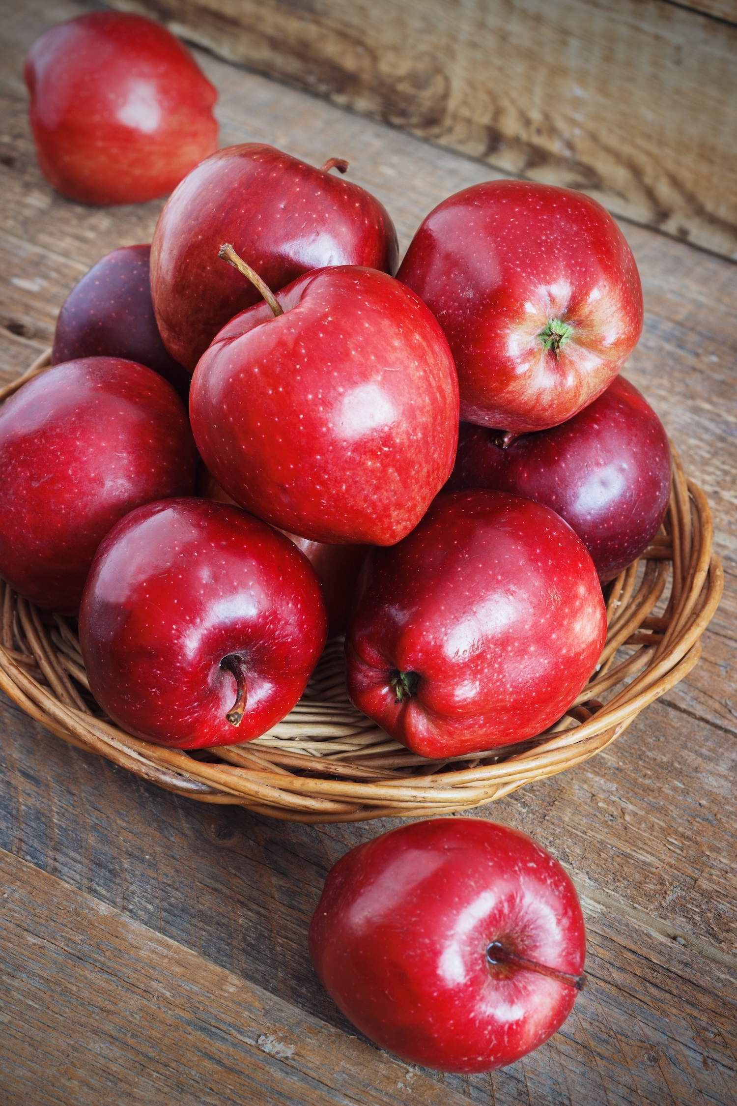 Jabłoń kolumnowa Red Hat