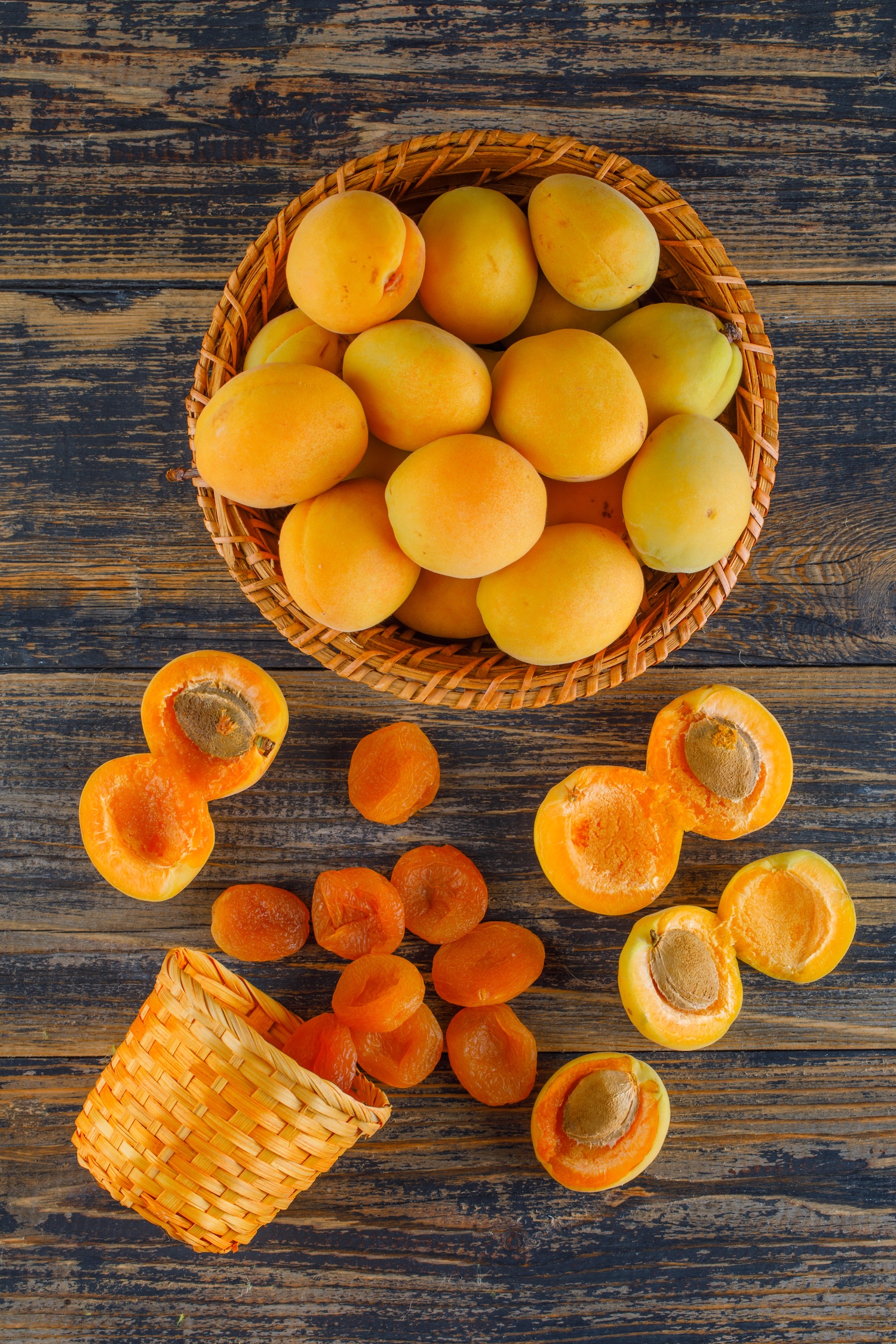 Morela kolumnowa Compacta - obrazek 2