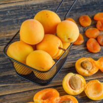 Morela kolumnowa Compacta